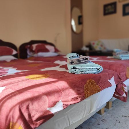 Elena Holiday Apartment ラルナカ エクステリア 写真